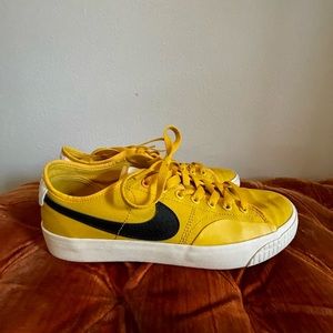 Nike SB Blazer Court Shoes